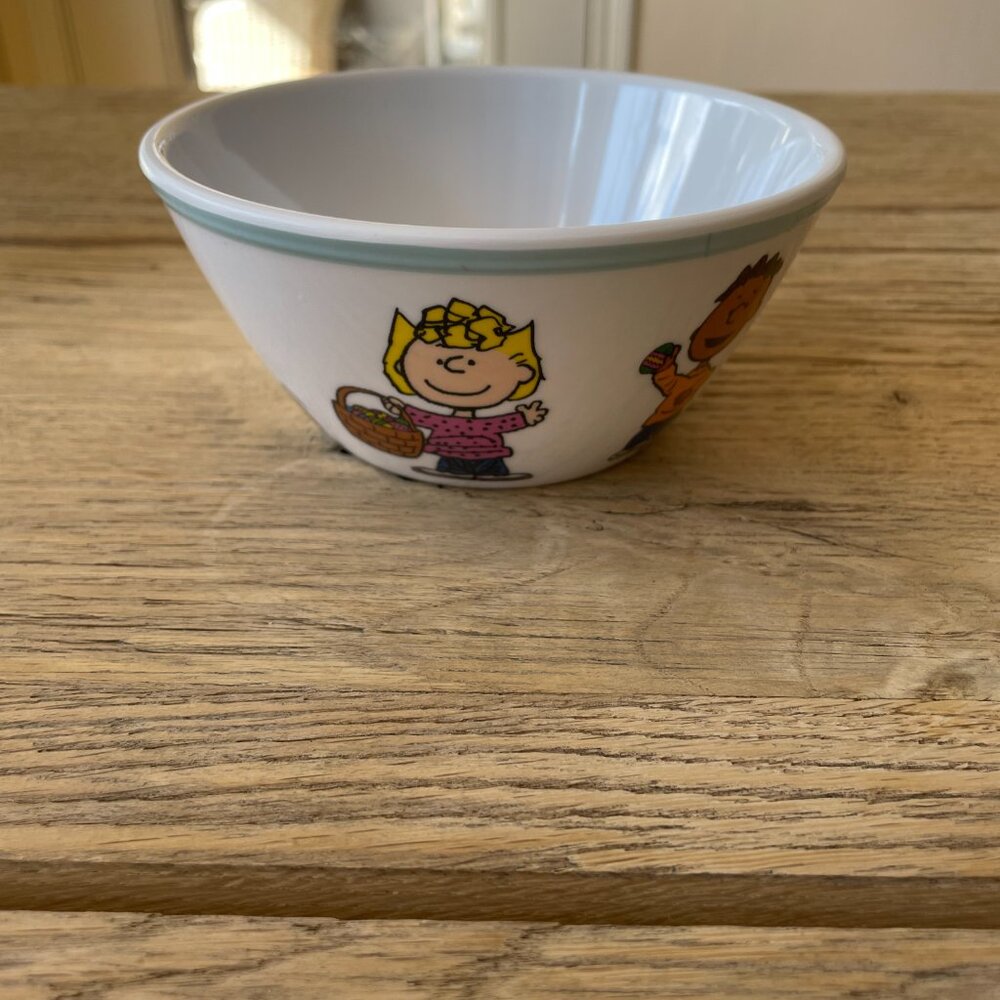 Williams Sonoma 3 Piece Kids Peanuts Easter Melamine Dinnerware Set Snoopy NEW - Picture 6 of 14